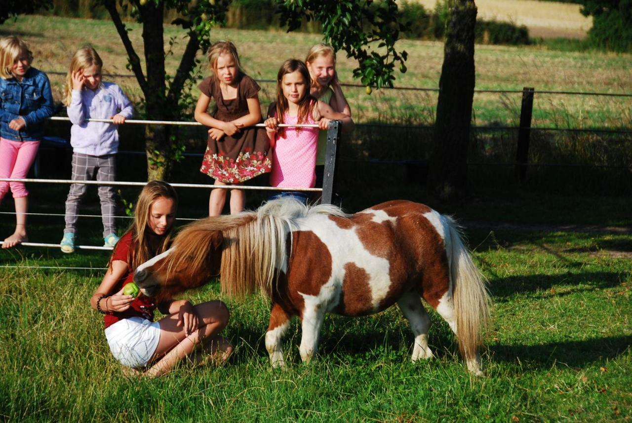 Ferienhof Blunck Wangels Zewnętrze zdjęcie